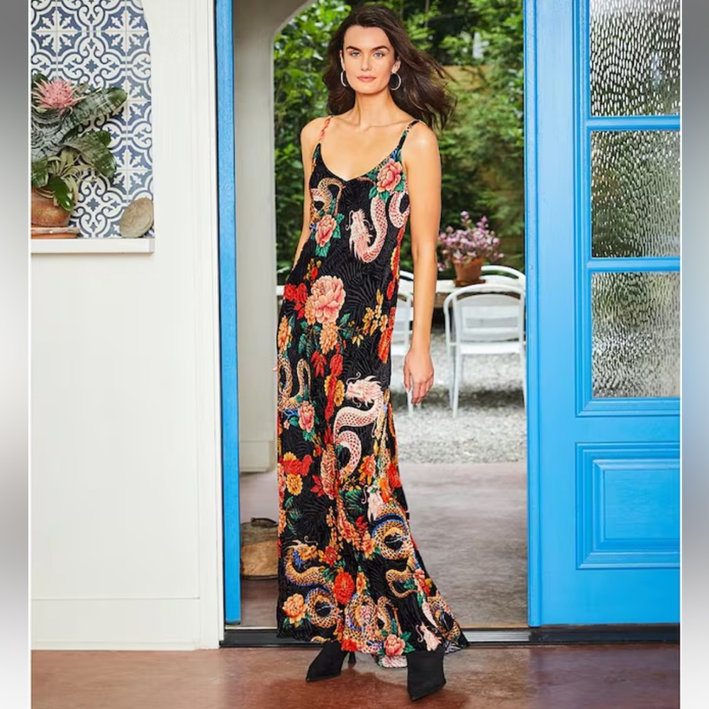 NWT JOHNNYWAS
Kanako Floral & Dragon Print
Burnout Velvet V-Neck Maxi Slip
Dress